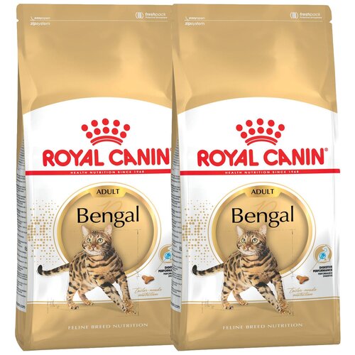 ROYAL CANIN BENGAL ADULT для взрослых бенгальских кошек (2 + 2 кг) фото, описание