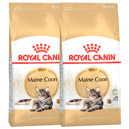 Сухой корм для кошек Royal Canin Maine Coon Adult Корм для взрослых кошек породы Мэйн Кун  от 15 месяцев до 12 лет 2 уп. х 2 шт. х 4000 г фото, описание