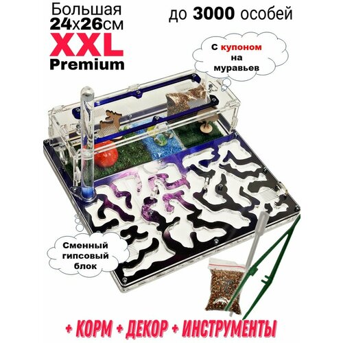 Большая муравьиная ферма XXL Premium 24*26см Полный комплект Космос фото, описание