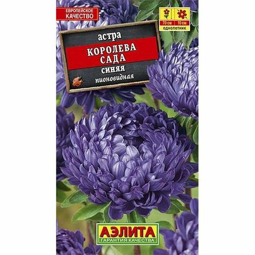 Семена Астра Королева сада синяя (однолетние) (Аэлита) 0,2г фото, описание