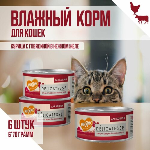 Влажный дополнительный корм Мнямс для кошек, Курица с говядиной в нежном желе, 70г х 6шт фото, описание