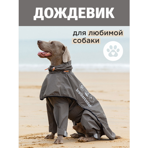 Дождевики для собак- полукомбинезон и накидка от бренда Brothers Cat&Dog фото, описание