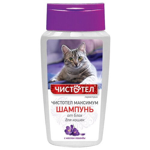 ЧИСТОТЕЛ шампунь от блох и клещей Максимум для кошек 1 шт. в уп., 1 уп. фото, описание