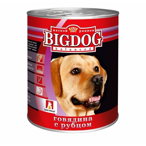 Влажный корм для собак Зоогурман Big Dog, говядина, рубец 1 уп. х 1 шт. х 850 г (для средних и крупных пород) фото, описание