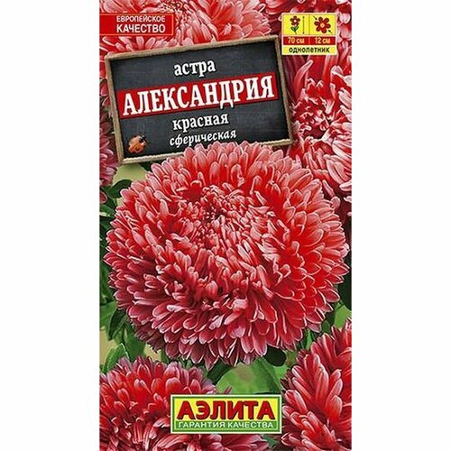 фото Семена Астра Александрия красная, однолетник, (Аэлита) 0,1г, купить онлайн за 50 рубл.