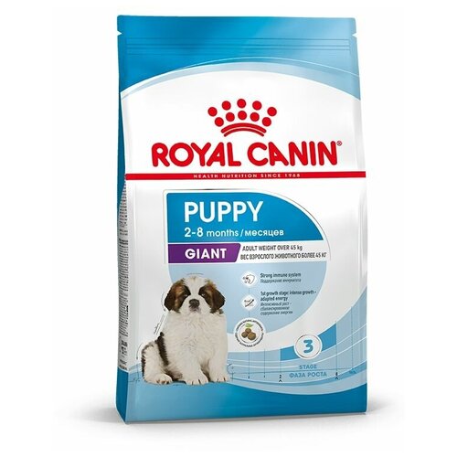 Корм сухой ROYAL CANIN GIANT JUNIOR корм для щенков 3,5 кг х 2 шт фото, описание