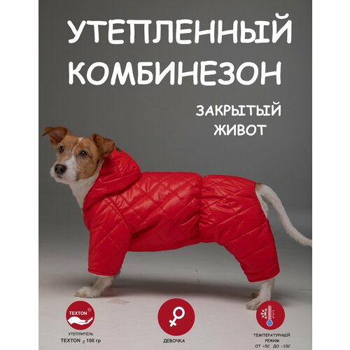 Комбинезон для собак DOGMODA стеганный девочка спина 28 см фото, описание