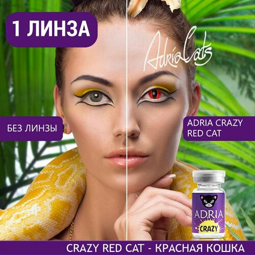 Контактные линзы ADRIA Crazy, 1 шт., R 8,6, D 0, ADD: средняя, red cat, 1 уп. фото, описание