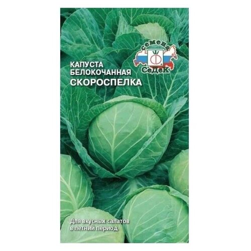 Капуста белокочанная Скороспелка 0,5г Седек фото, описание