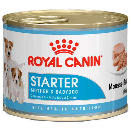 Влажный корм для кормящих собак и щенков Royal Canin Starter Mousse 1 уп. х 1 шт. х 195 г фото, описание