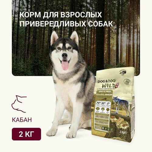 Корм для собак сухой Dog & Dog Wild Regional Grassland, кабан, ягненок 2кг (от года) фото, описание