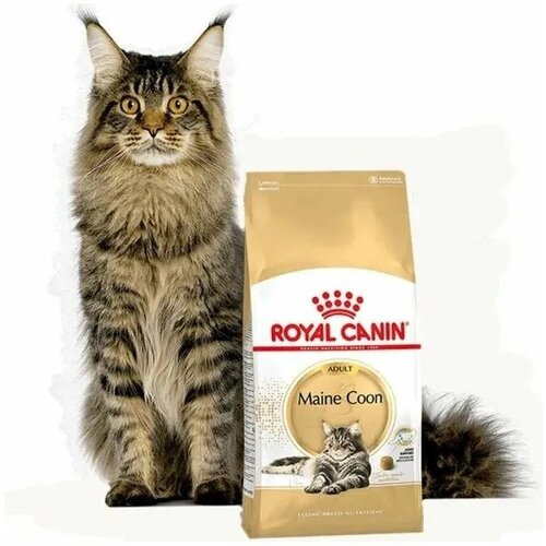 Корм Royal Canin MAINE COON Специальное питание для кошек породы мейнкун, а также для кошек крупных размеров: сибирской, норвежской лесной и других, в возрасте от 15 месяцев и старше, 2кг фото, описание