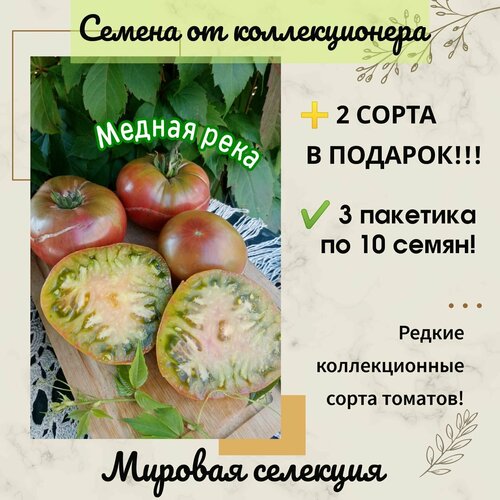 Томат Медная река, мировая селекция, коллекционный сорт фото, описание