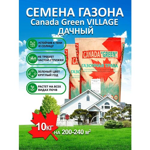 Газонная трава семена Канада Грин Дачный Village 15 кг/ мятлик, райграс, овсяница семена для газона фото, описание