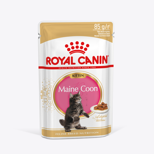 Корм Royal Canin для котят породы Мэйн Кун в возрасте до 15 месяцев MAINE COON KITTEN (мейн КУН киттен), мелкие кусочки в соусе, 28х85г фото, описание