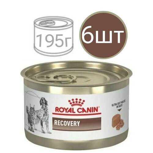 Влажный корм для кошек и собак , Royal Canin Recovery , в период восстановления после операции (6шт по 195г) фото, описание