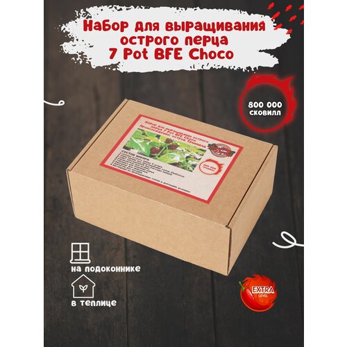 Набор для выращивания острого перца 7 Пот БФЕ Шоколад в домашних условиях, мини парник для рассады фото, описание