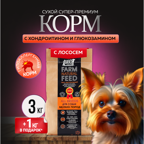 Сухой корм для собак мелких пород Buddy Dinner Orange Line Hypoallergenic с лососем 3 кг + 1 кг в подарок фото, описание