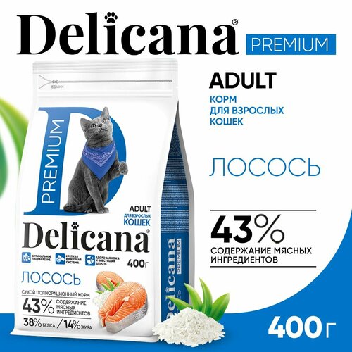 фото Сухой корм для кошек Delicana с лососем 400 г, купить онлайн за 400 рубл.