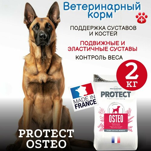 Сухой корм для собак Pro-Nutrition Flatazor Protect Osteo при болезнях суставов (2 кг) фото, описание