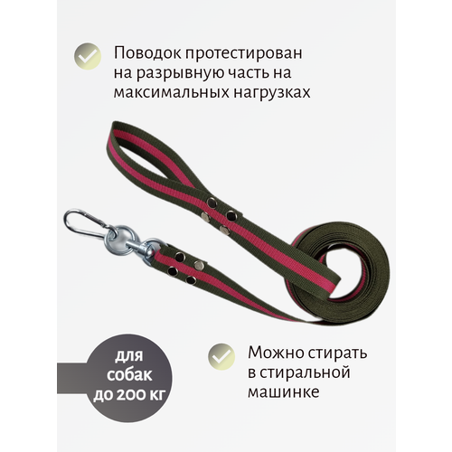 Поводок Хвостатыч для собак крупных пород с вертлюгом и альпинистским карабином нейлон 1 м х 35 мм (Зелено-красный) фото, описание