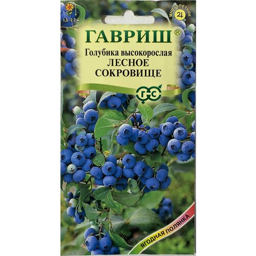Семена Гавриш Голубика высокорослая Лесное сокровище 30 шт. фото, описание