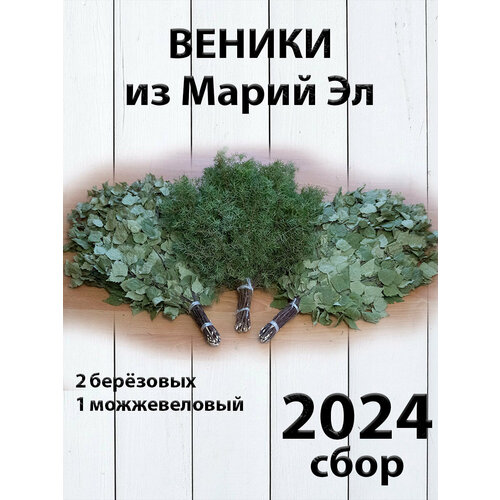 Комплект веников для бани, 2 березовых и можжевеловый из Марий Эл сбор 2024 фото, описание