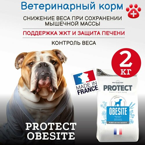 Сухой корм для собак Pro-Nutrition Flatazor Protect Obesite для снижении веса и при сахарном диабете (2кг) фото, описание