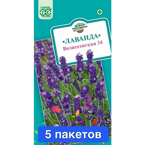 Цветы Лаванда узколистная Вознесенская 34, 5 пакетов фото, описание