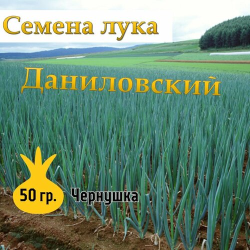 фото Семена лука чернушка Даниловский,50гр, купить онлайн за 899 рубл.