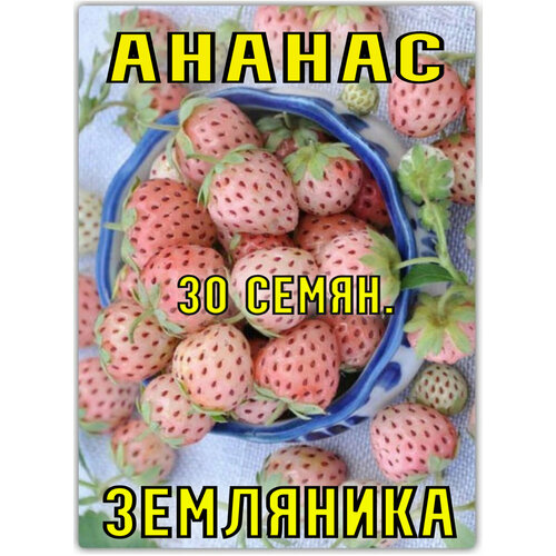 Земляника Ананас 30 семян фото, описание