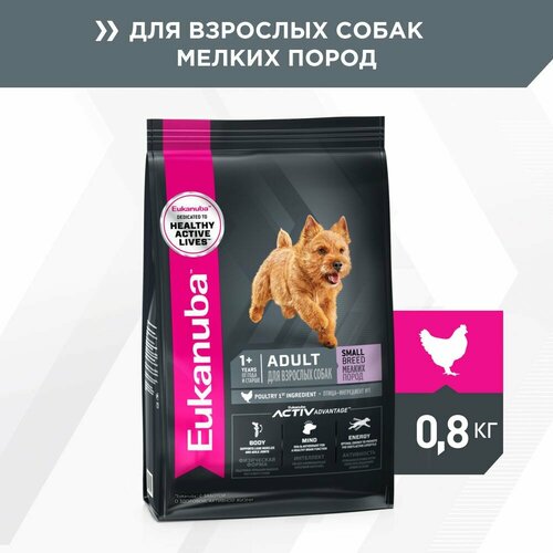 EUKANUBA ADULT SMALL BREED 800 гр сухой корм для взрослых собак мелких пород 3шт фото, описание