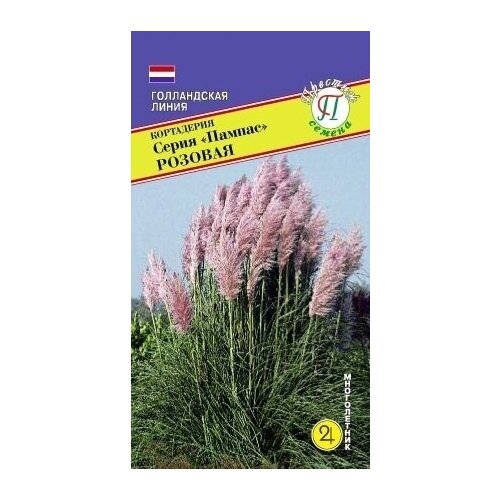 Пампасная трава Розовая. Кортадерия. Семена. Многолетник. Высота растения 2,5-3 м. Соцветия используют на срезку в свежем или засушенном виде фото, описание