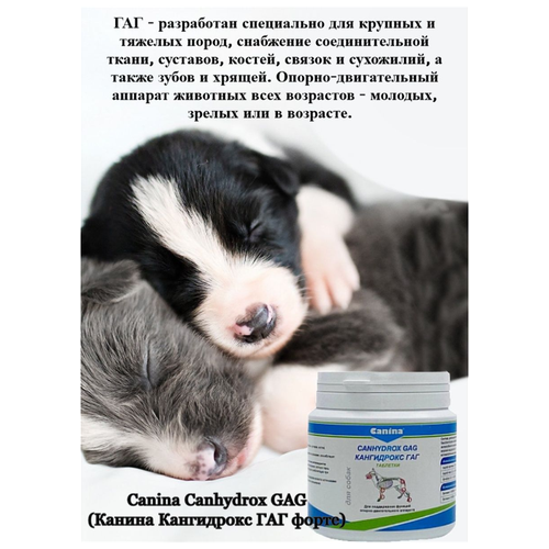 Добавка в корм для собак Canina Canhydrox GAG Forte (100г/60таб) фото, описание