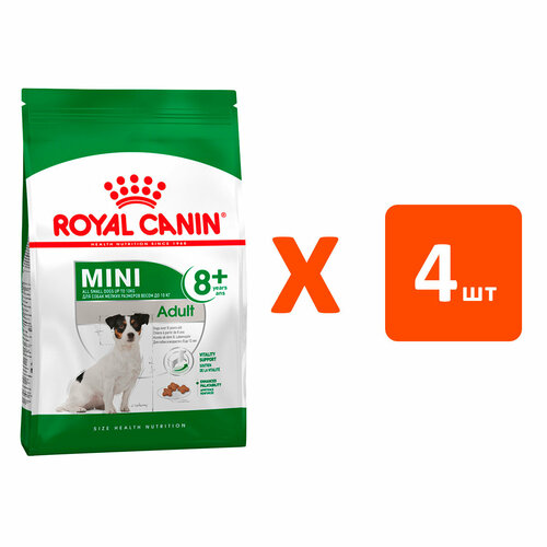 ROYAL CANIN MINI ADULT 8+ для пожилых собак маленьких пород старше 8 лет 2 кг х 4 шт фото, описание