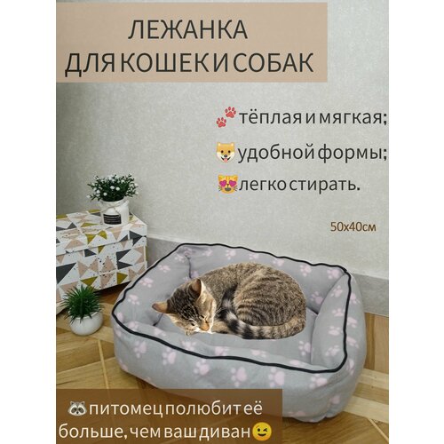 Лежанка для собак и кошек прямоугольная, 40*50 см, серая с розовыми лапками фото, описание