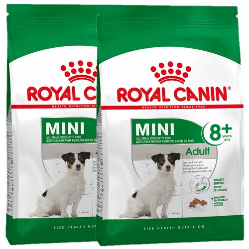 ROYAL CANIN MINI ADULT 8+ для пожилых собак маленьких пород старше 8 лет (4 + 4 кг) фото, описание