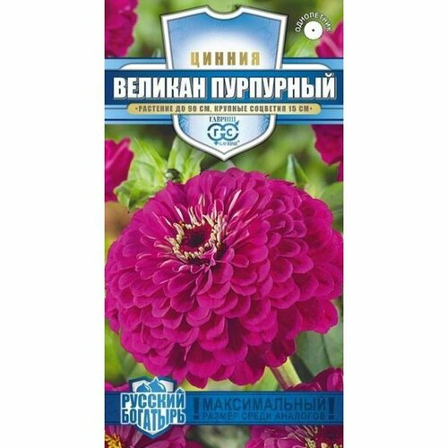 Семена Цинния Великан пурпурный (однолетние) (гавриш) 0,3г Русский богатырь Н18 фото, описание