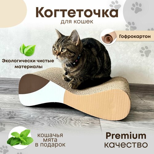 фото Когтеточка для кошек Sweet Cat 