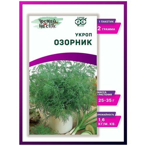 Семена Укропа для балкона; Укроп Озорник 2г Ср (Гавриш) Урожай на окне; семена укропа комнатного; домашнего; балконного; для выращивания на подоконнике фото, описание