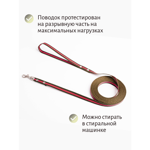 Поводок Хвостатыч для собак нейлоновый классический 2 м х 10 мм (зелено-красный) фото, описание