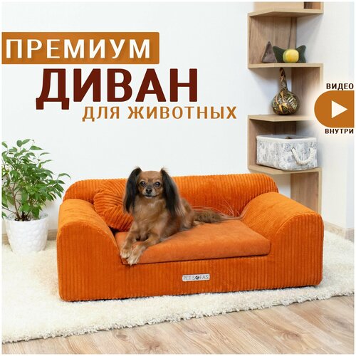 Лежанка-диван для собак и кошек. Деревянный каркас. I Лежак оксфорд - PET SOFAS I Размер - S фото, описание