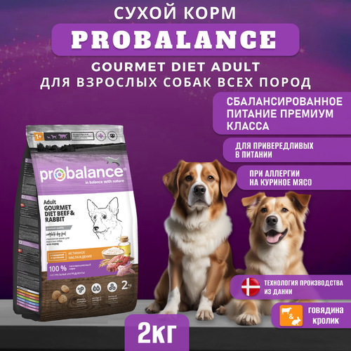 Сухой корм ProBalance Gourmet diet Adult для взрослых собак с говядиной и кроликом, 2кг фото, описание