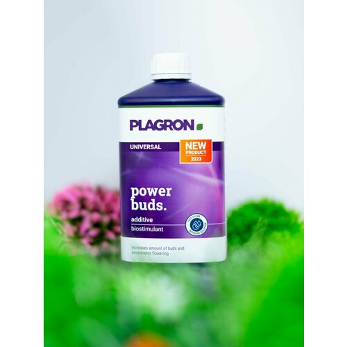 Стимулятор Plagron Power Buds 1 л фото, описание