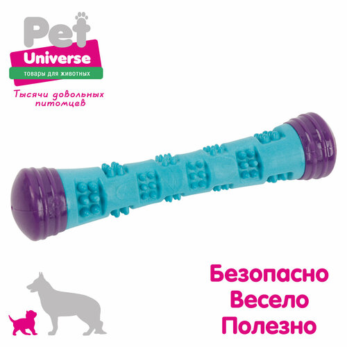 Игрушка для собак Pet Universe Многофактурная жевательная палочка с шипами 23х5 см, 125 гр ТПР, PU3069 фото, описание