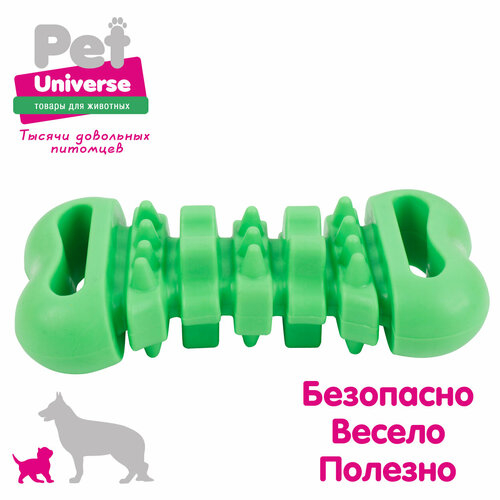 Игрушка для собак Pet Universe многофактурная косточка для жевания 12 см, ТПР, зелёный, PU3078GN фото, описание