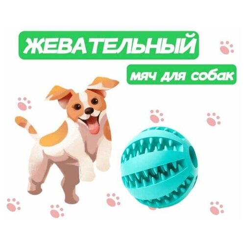 Жевательная игрушка мяч для собак и кошек, шарик для чистки зубов 5см фото, описание