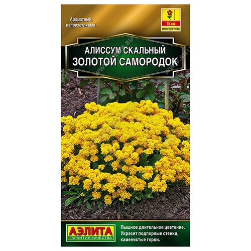 фото Алиссум Золотой самородок (0,05г), 2 пакета, купить онлайн за 229 рубл.