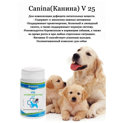 Добавка в корм для собак Canina V 25 (200г/60 таб) фото, описание