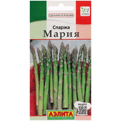 Спаржа мария Аэлита, многолетняя овощная культура с деликатесным вкусом и диетическими свойствами, идеальна для салатов и закусок, семена 0,5 г фото, описание